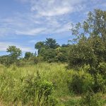 This 10 acres of farm land Lakwaya, Omoro is good for farming and animal rearing with nearby water source and road acess